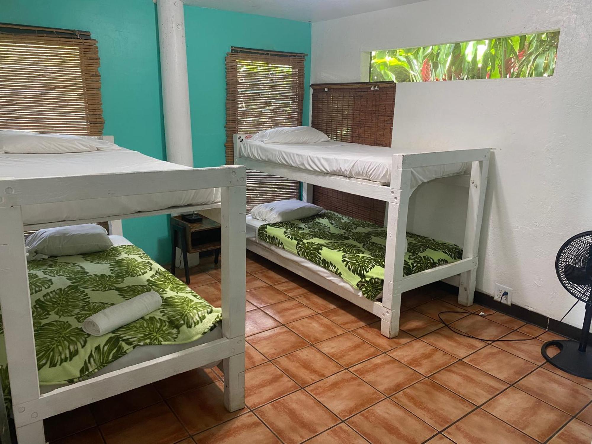 Backpackers Vacation Inn And Plantation Village Pupukea Exterior foto